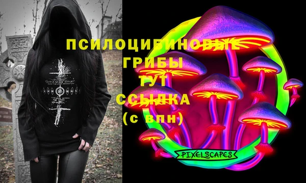 молекула духа Белокуриха