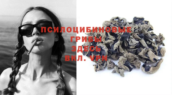 молекула духа Белокуриха
